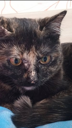 Новая обувь в аватар ворлд😘😊