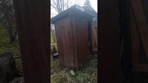 video_2025-05-12_11-45-11