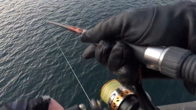 Пришел на Селедку а ловятся одни БУБЫРИ 🤯Зимняя рыба смотреть онлайн