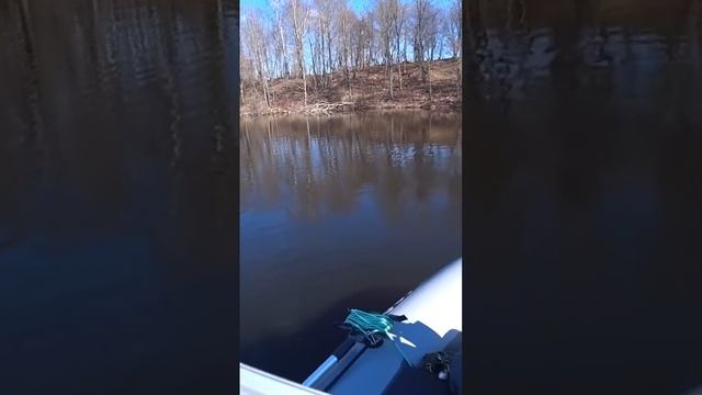 Эти РАТЛИНЫ🔥 сделали Рыбалку.Рыбалка в Витебской обл смотреть онлайн