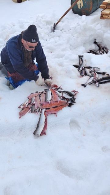 Зимняя рыбалка удалась