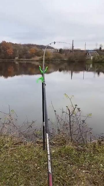 Момент ради которого ходят на рыбалку смотреть онлайн