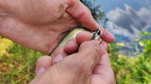 Самоловка на щуку