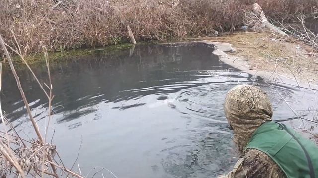 рыбалка на форель #fishing #рыбалка #форель #осетия #bigfish