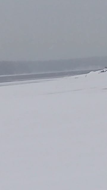 15 декабря 2024 г.