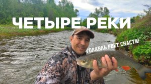 РЫБАЛКА НА ЧЕТЫРЁХ РЕКАХ ЗА ОДИН ДЕНЬ! ГОЛАВЛЬ РВЁТ СНАСТИ!