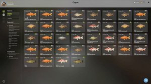 Русская рыбалка 4. Оз. Медное. На что идет карп Кои?