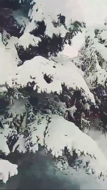 Нет прекрасней зимнего подарка. смотреть онлайн