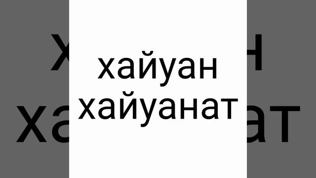 Х ДЫБЫСЫ мен ӘРІПІ. Буынға бөліп оқу. Әліппе. Сауат ашу 1 сынып. Алиппе. Аріптер казакша