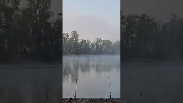 Рыбалка 🐟 во Франции на Beinheim See 2025г клюнула плотва #ры? смотреть онлайн