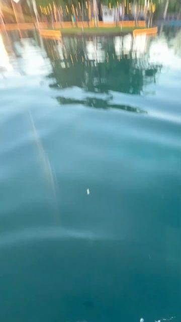 Ожидания и реальность. Вид мощный #бассейн #волгоград # смотреть онлайн