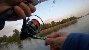 Лучший Слаг на Судака!