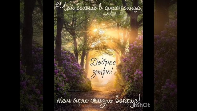🍀ПРИКОЛЫ И ПОЖЕЛАНИЯ🍀