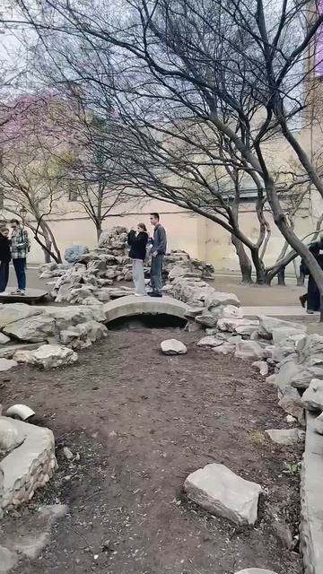 Цветущая Сакура в Санкт-Петербурге. Китайский сад Дру? смотреть онлайн