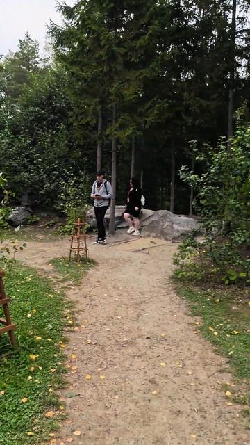 22 августа 2024 г., березы карелии смотреть онлайн