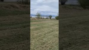 мульчер для высокой травы