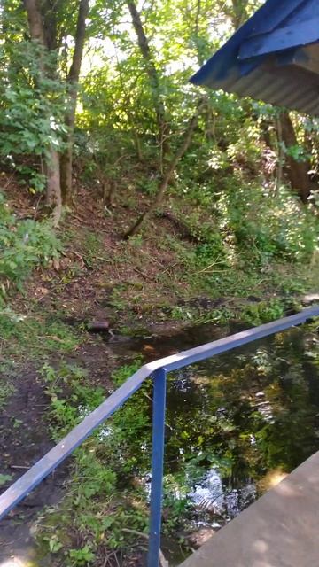 РЕКА ЛЮБОВША 🌊 Природа 🌲 отдых 🌀 лес 🌊 река 🎣 #fishing смотреть онлайн