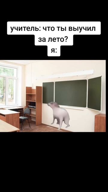 сбермаркет еда... смотреть онлайн