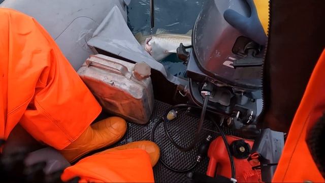 Морская рыбалка на треску Дельфины в Баренцевом море! смотреть онлайн