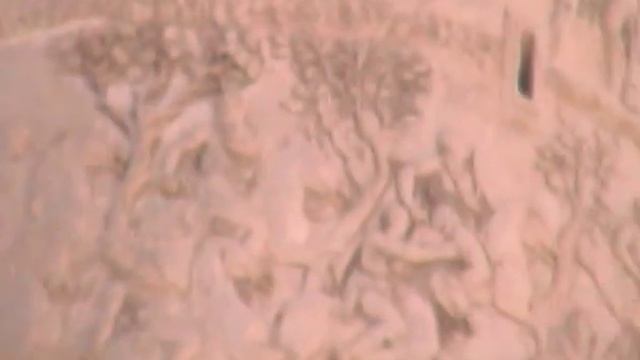 Рим смотреть онлайн