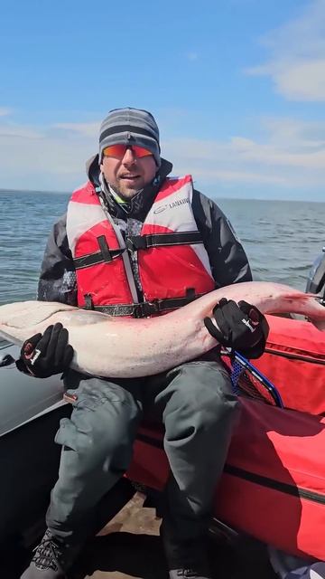 24 декабря 2024 г.