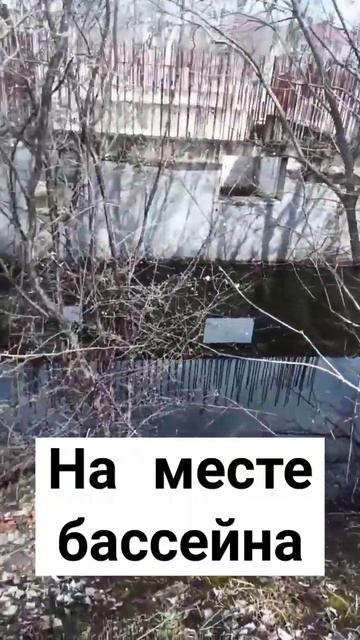 бассейн горячего ключа #горячийключ смотреть онлайн