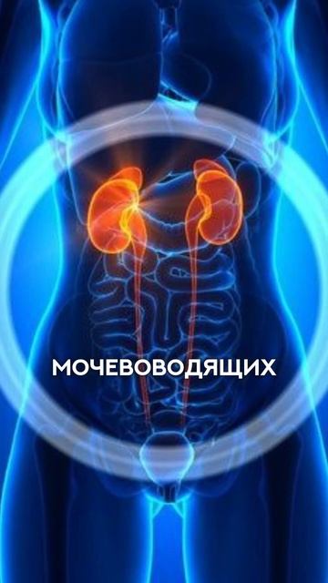 Ешь еду как лекарство, чтобы не есть лекарство как еду# смотреть онлайн