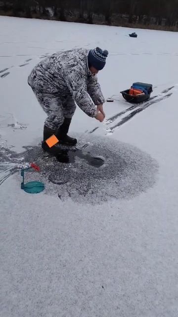 трофей 2023-24.первый лед 2023-24 2день.рыбалка без правил. смотреть онлайн