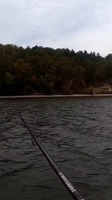 клюнул монстр #monster ,#fishing #рыбалка смотреть онлайн