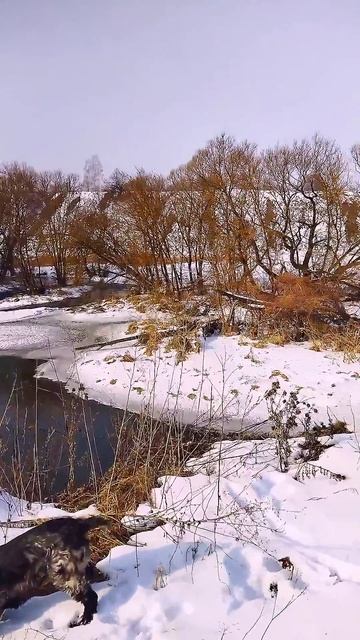 Последний день зимы на Орловщине. 28.02.2025 г. смотреть онлайн