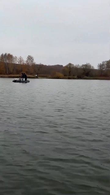 Рибалка любить тишу, чи не так?! #fishing_community #рыбалкахарь