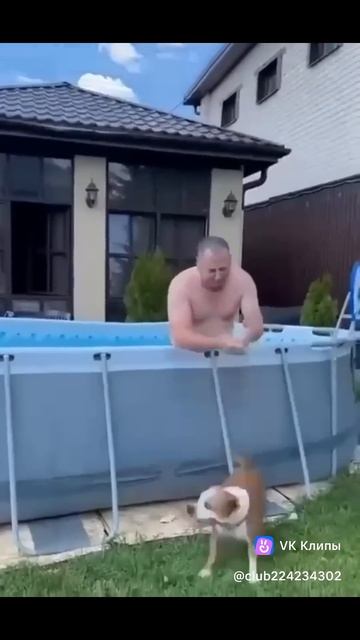 Когда на улице очень жарко! 🥵 #юмористическийконтент смотреть онлайн