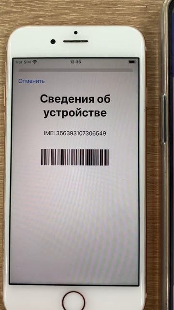 25 июля 2024 г. смотреть онлайн
