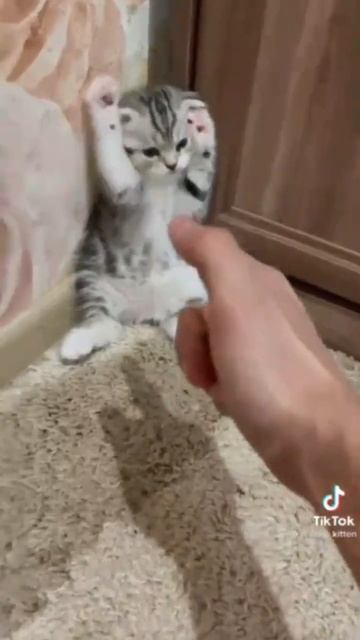 😀😀кто ел мои сосиски смотреть онлайн