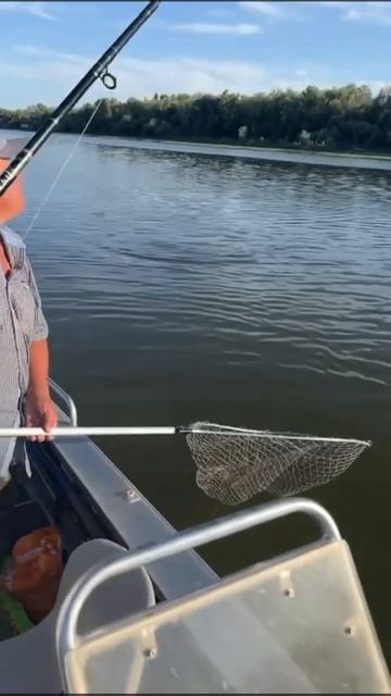 На нашей базе «Путина» можно Поймать Мечту!      8(985)991-09-3