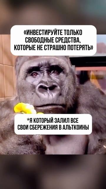 Когда тебе говорят, что инвестиции — это риск, а ты вкл смотреть онлайн