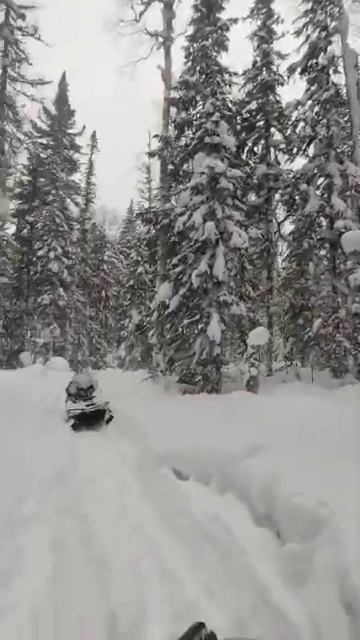 84 К Снегоходу цепляем лебедку Будем тащить Зимняя тай? смотреть онлайн