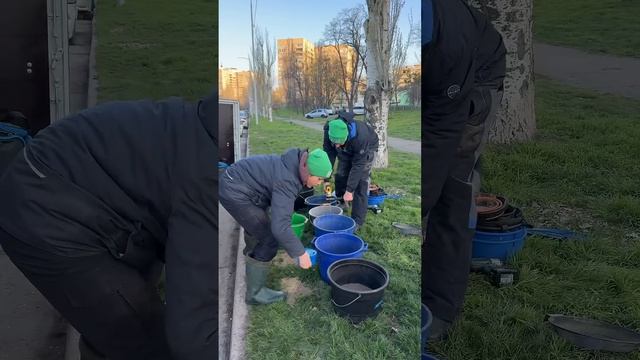 Готуємо корм на карася 😆 #shorts #fishing #риболовля #фідер #р смотреть онлайн