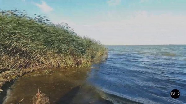 Фидер Parabola от Fish Art Studio 3,6м до 70г