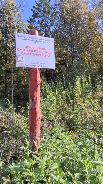 В походе #поход #туризм #mountains #путешествия #лес #nature #ре? смотреть онлайн