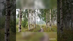 Стихотворение "Русь моя, ты, в сарафане..."