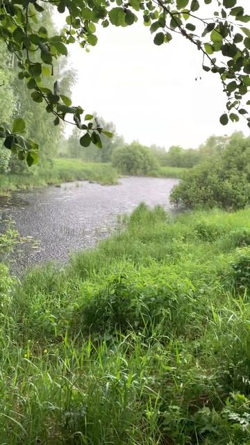 Под дождем, промок, рыбалка смотреть онлайн