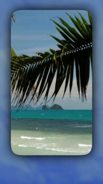 Как БЕЗ ВИЗЫ прилететь в КИТАЙ! смотреть онлайн