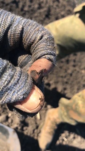 Знайшов металошукачем маленький хрестик! #Shorts смотреть онлайн