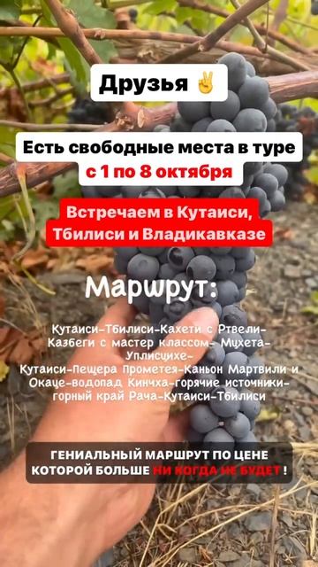 Если актуально пишите +995599030172 Telegram WhatsApp #грузия #турвг? смотреть онлайн