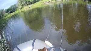 Щука на поппер  Яркие Атаки щуки! Рыбалка на Спиннинг