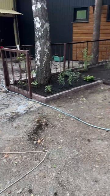 ДЕЛАЕМ ГАЗОН С ВАЙТЮХОЙ