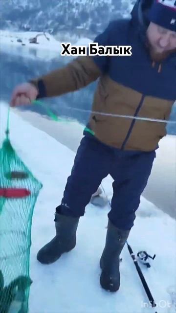 Хан балык #рыбалка #рыба #блесна #ловляфорели смотреть онлайн