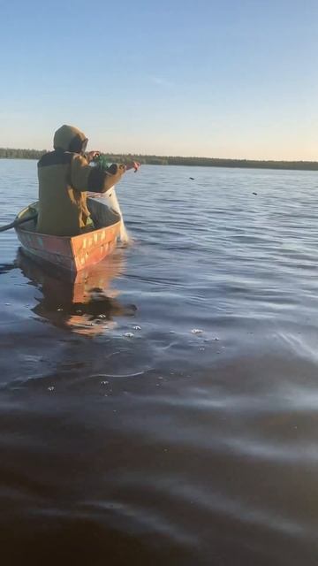 Рыбалка на сети, ловим якутские караси (Кобяйские) #сах смотреть онлайн