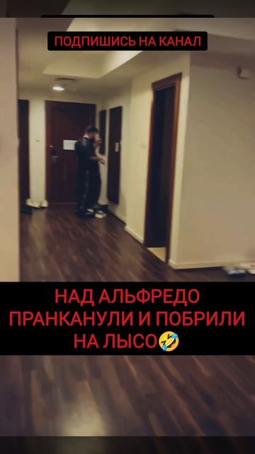 Над Альфредо жестко пошутили и налысо подстригли🤣 #shorts #альфредо #пираев #попмма